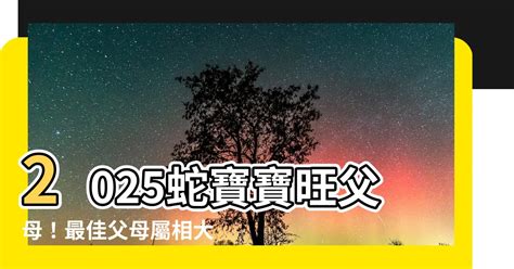 2025蛇寶寶旺父母|【2025蛇寶寶旺父母】2025蛇寶寶旺父母：快來選最好的父母屬。